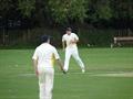 Fieldings